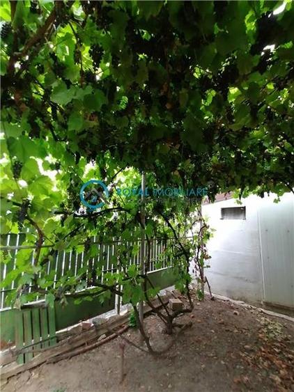 Casă individuală cu 2 camere cu Teren 130 Mp în Cantacuzino