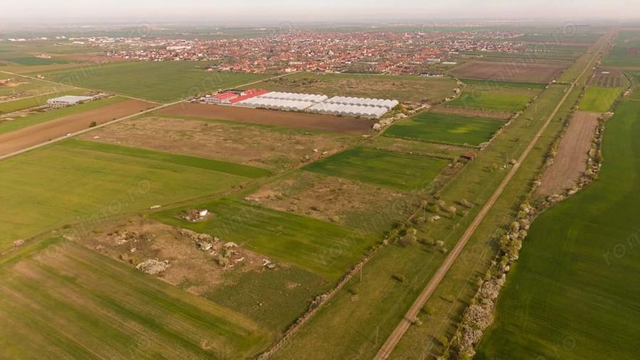 Teren de 6150 mp, în Sânleani