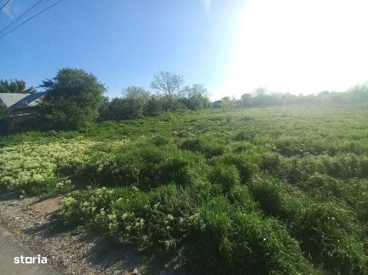 Teren de 1500 mp, în Spanțov
