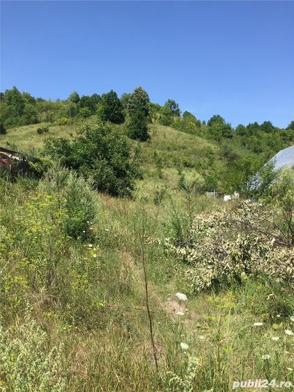 Teren de 4364 mp, în Șerpeni