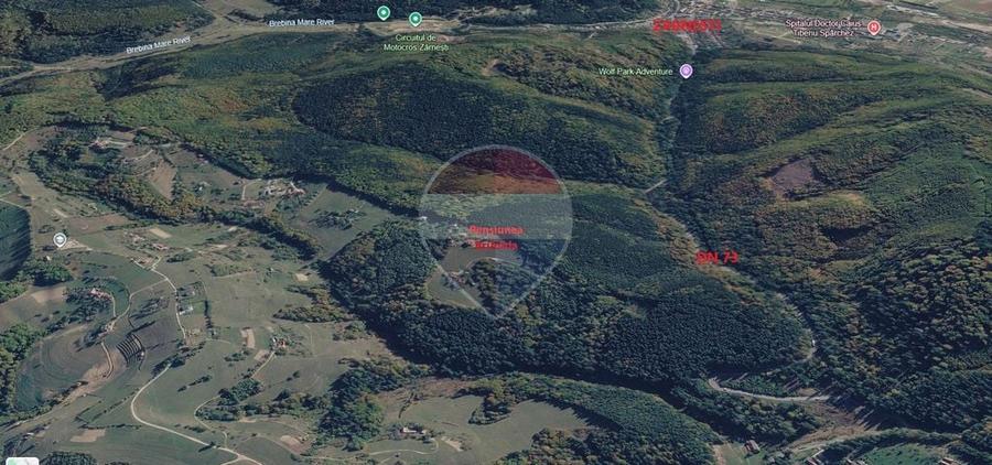 Teren extravilan Poiana Marului 1092mp, inconjurat de padure - 1