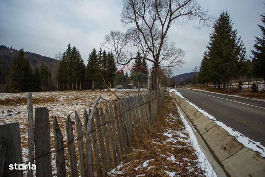 Teren de 49000 mp, în Borca