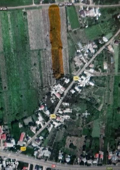 Teren intravilan cu vie - 2