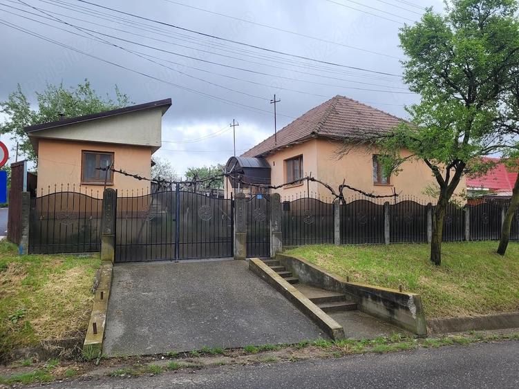Casă cu Teren 1350 Mp în Gutinaș
