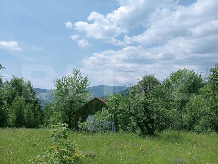 Teren Construcții intravilan de 12000 mp, în Scărișoara