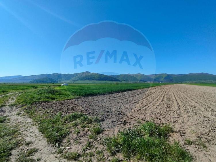 Teren agricol extravilan de 1724 mp, în Gura Râului