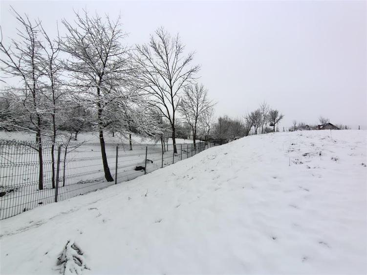 Teren Construcții intravilan de 2000 mp, în Mitocu Dragomirnei