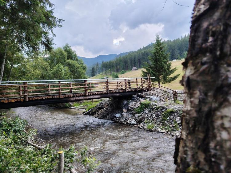 Teren de 17000 mp, în Siculeni