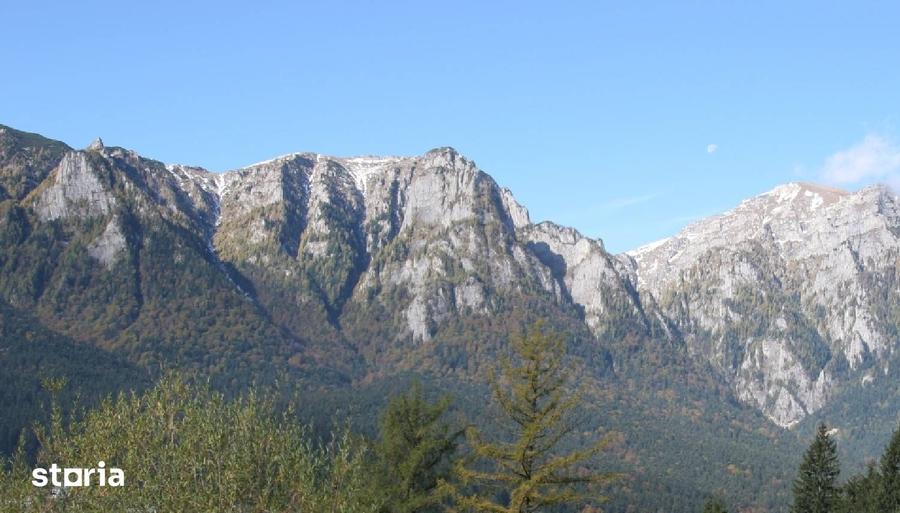Teren de 1000 mp, în Piatra Arsă