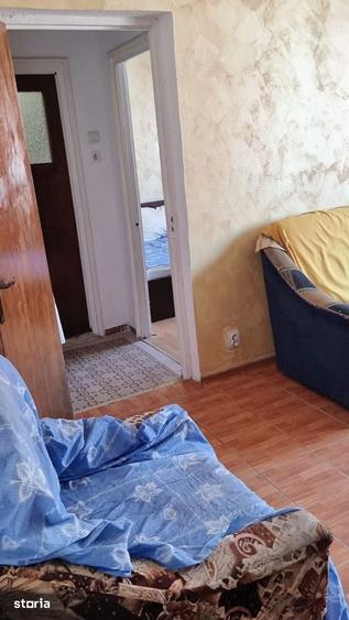 Teiul Doamnei, Parc Tei & Plumbuita, renovat, reabilitat, debara, 1% - 2