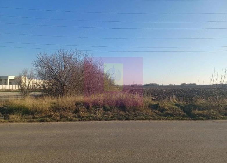 Teren de 8800 mp, în Săbăreni