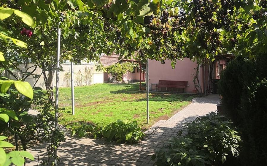 Teren agricol intravilan de 12000 mp, în Ierbuș