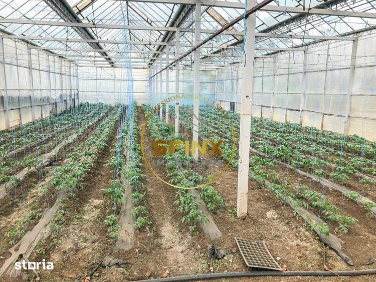 Teren de 29000 mp, în Nicolae Bălcescu