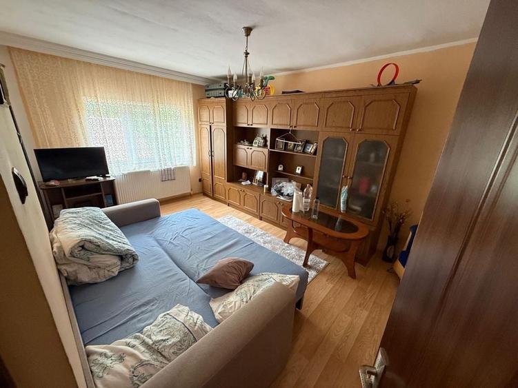 Apartament 1 camera Baile- Herculane - 10