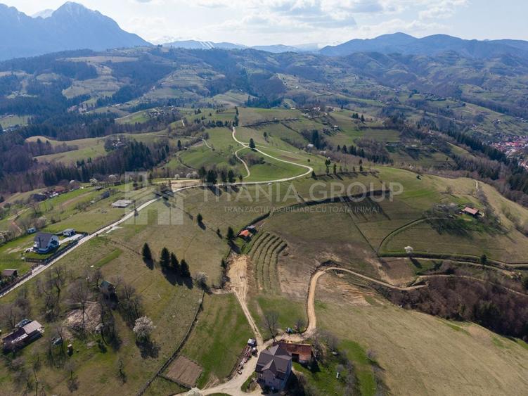 Teren Construcții intravilan de 3791 mp, în Poiana Mărului