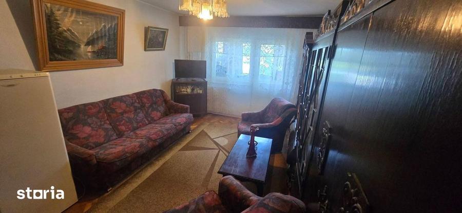 Apartament cu 2 camere decomandat în Craiovița Nouă
