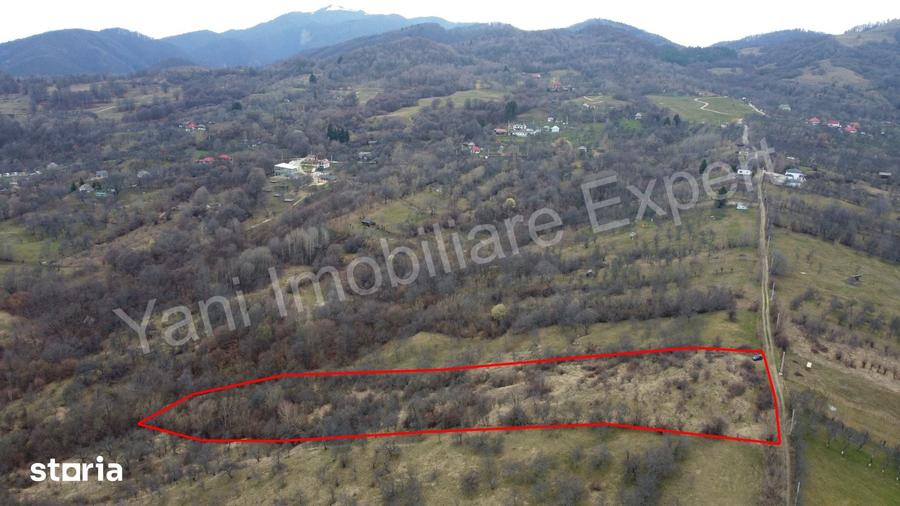 Teren de 14328 mp, în Nucșoara