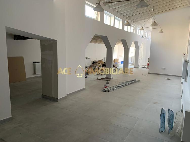 Casă individuală cu 9 camere cu Canalizare în Dacia