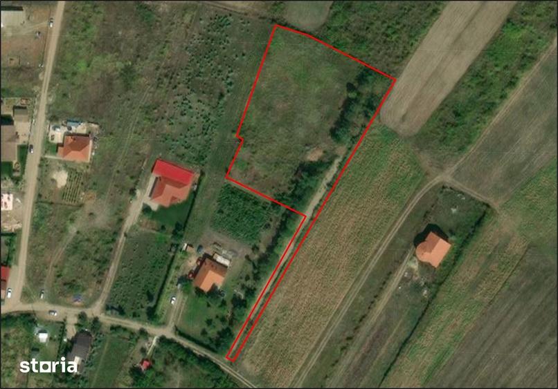 Teren de 5000 mp, în Paleu