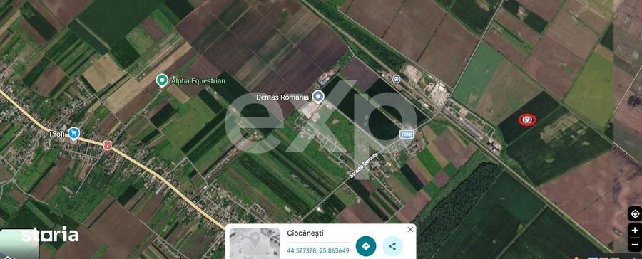 Teren de 71300 mp, în Ciocănești