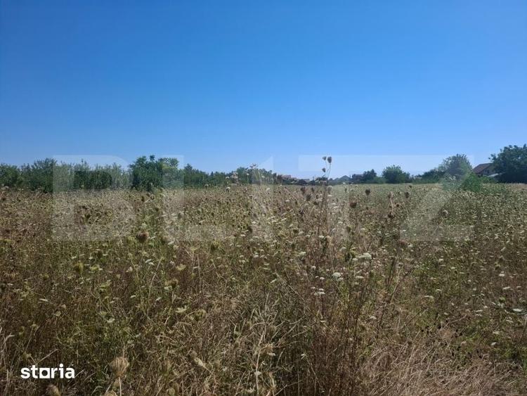 Teren de 3000 mp, în Ulmi