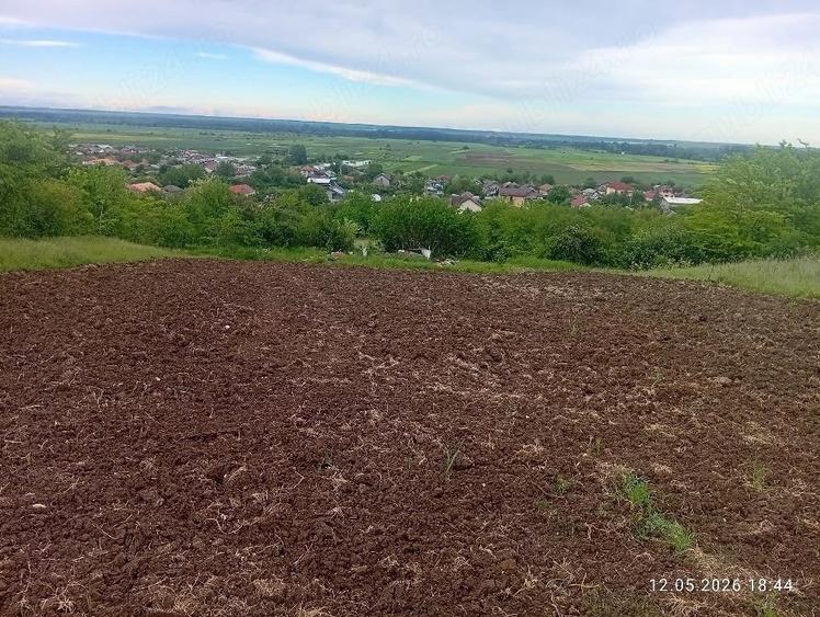 Teren de 1000 mp, în Central