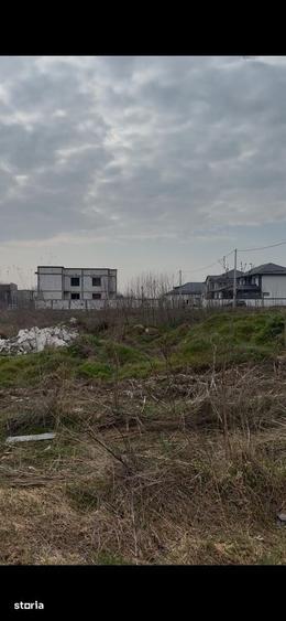 Teren de 5000 mp, în Podari