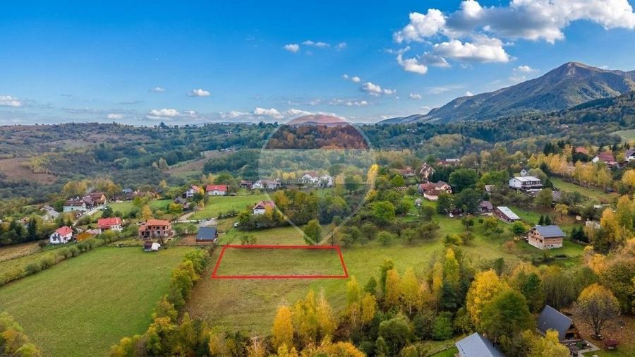 Teren Construcții intravilan de 1500 mp, în Tohănița
