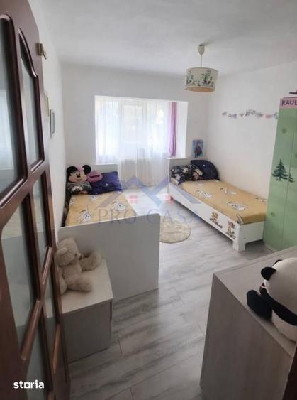 Apartament cu 2 camere decomandat, mobilat în Ampoi 3