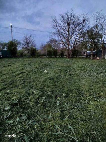 Teren intravilan 1470mp la 25 km de Bucuresti - 5