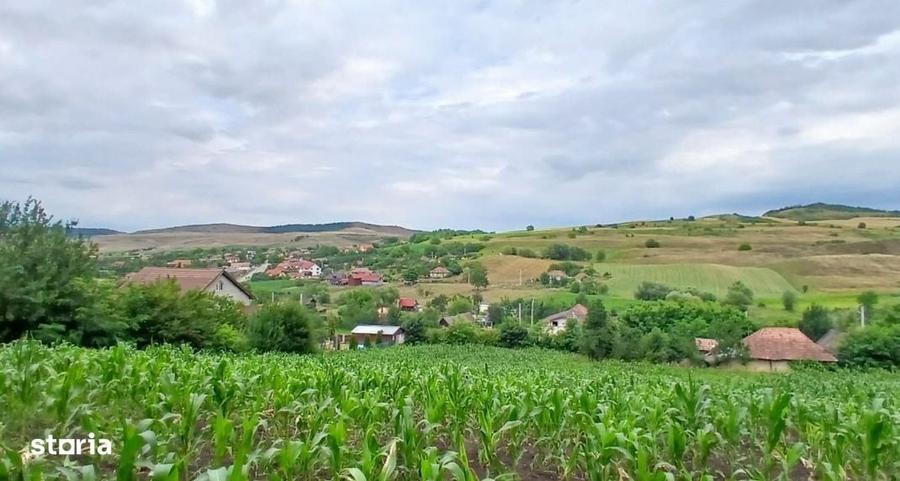 Casă cu 2 camere în Central