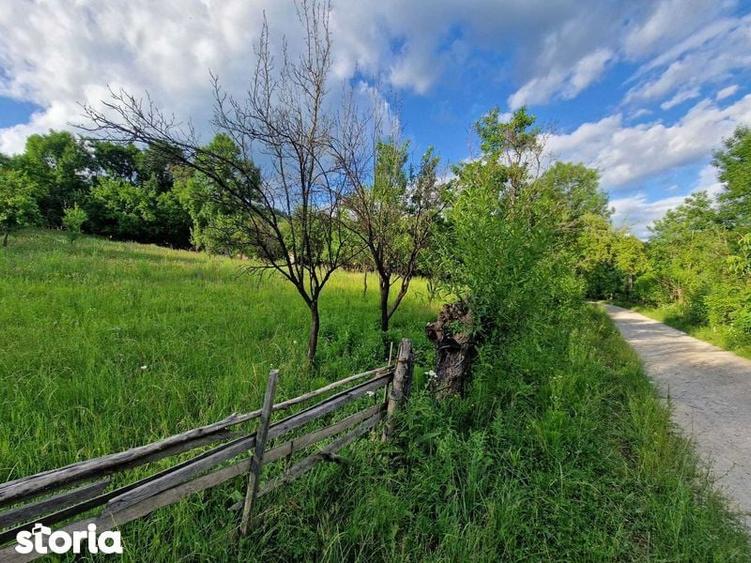Teren de 4754 mp, în Moțăieni