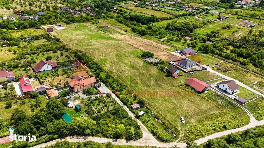 Teren 8.000 MP | Daia Noua | Intravilan | Oportunitate | SkyView - 8