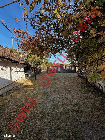 Casă cu 2 camere cu Teren 3481 Mp în Homorod