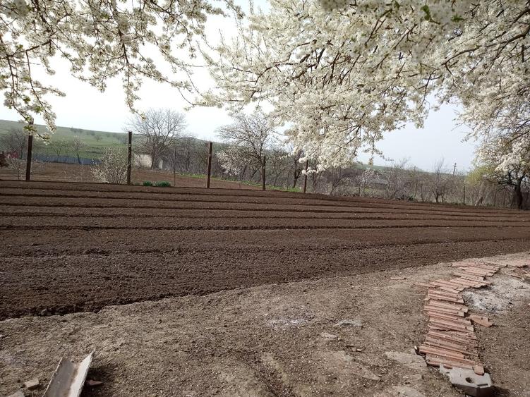 Casă individuală cu 5 camere cu Teren 2400 Mp în Războieni