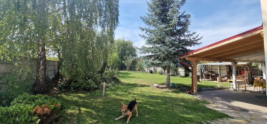 Casă individuală cu 8 camere cu Canalizare în Șura Mică