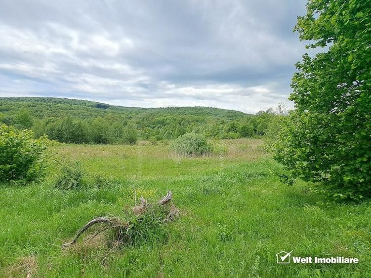 Teren agricol extravilan de 5000 mp, în Micești