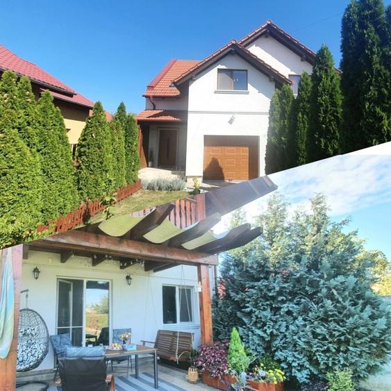 Casa eficient energetic, locatie centrala - 12