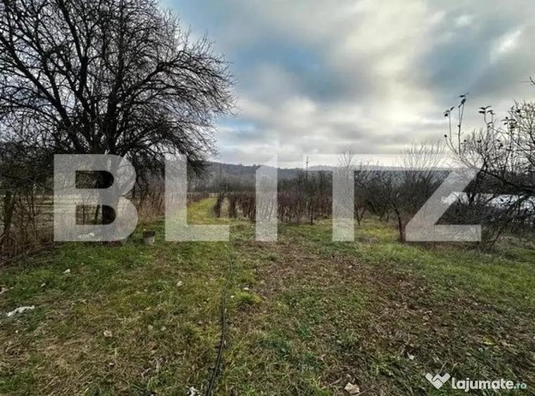 Teren de 2792 mp, în Primăverii