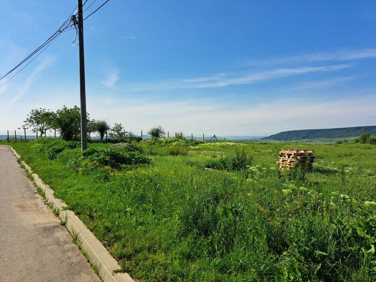 Teren agricol extravilan de 9300 mp, în Central