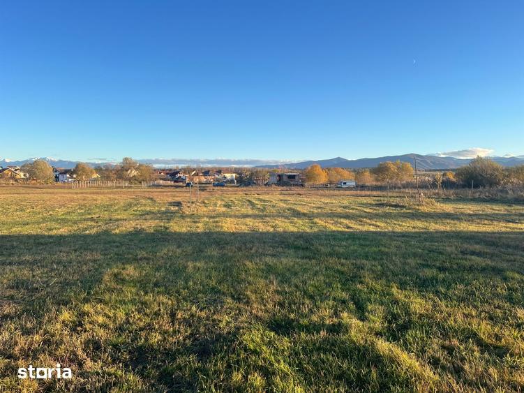 Teren de 445 mp, în Turnișor
