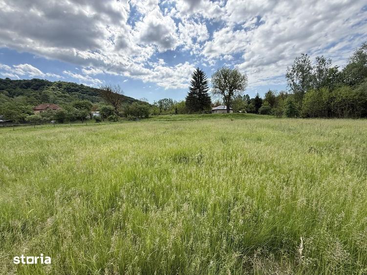 Teren de 1200 mp, în Provița de Sus