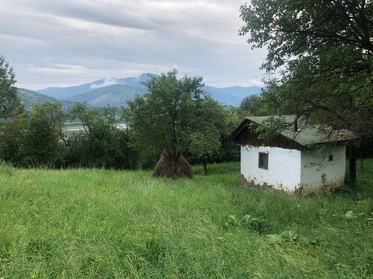 Teren de 2500 mp, în Pângărați
