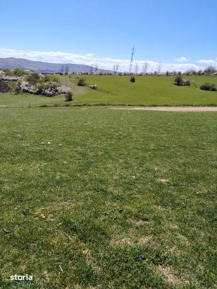 Teren de 3032 mp, în Ciurila