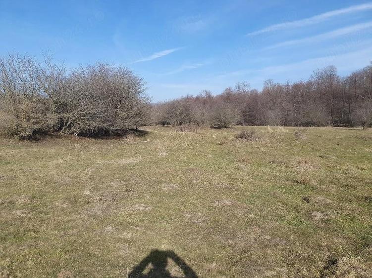 Teren de 4100 mp, în Vlădeni