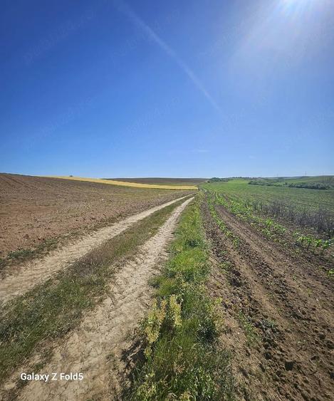 Teren de 9800 mp, în Chișirid