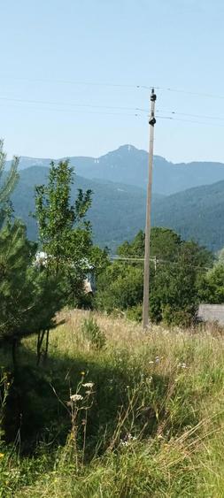 Teren de 1285 mp, în Hangu