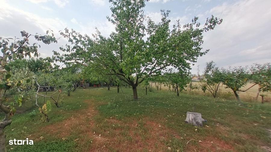 Casă cu 3 camere în Șiria