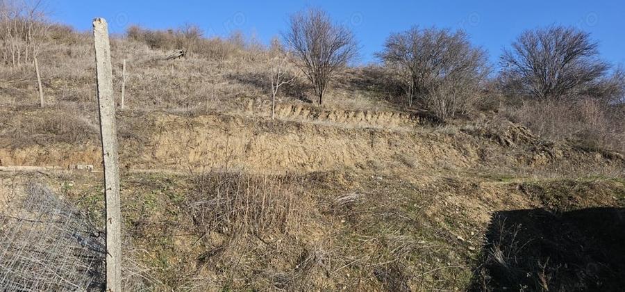 Teren de 868 mp, în Schitu