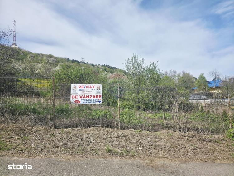 Teren 1,000mp Piatra-Neamt / Zona Fermelor - 12